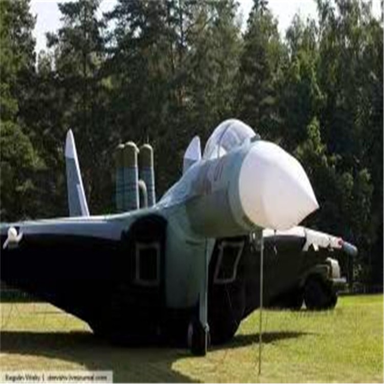 镜湖充气模型飞机制造商家